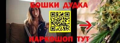 крисы Аргун