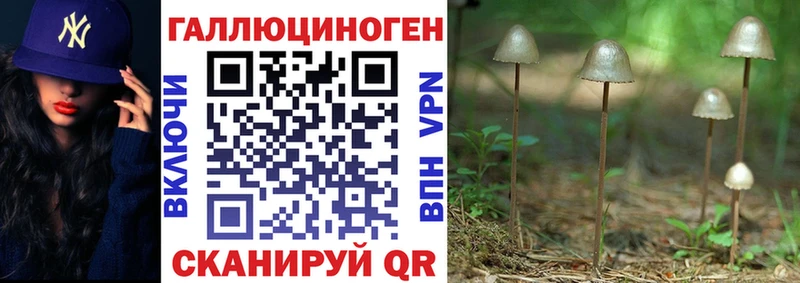 Псилоцибиновые грибы MAGIC MUSHROOMS  Новошахтинск 