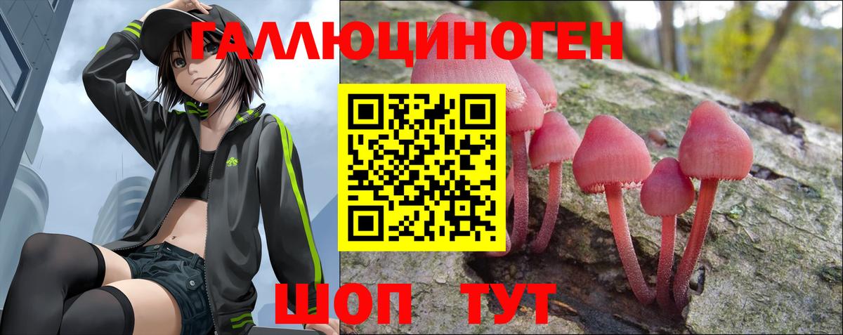Новошахтинск  Галлюциногенные грибы GOLDEN TEACHER  Вход с VPN  Псилоцибиновые грибы Psilocybine cubensis 