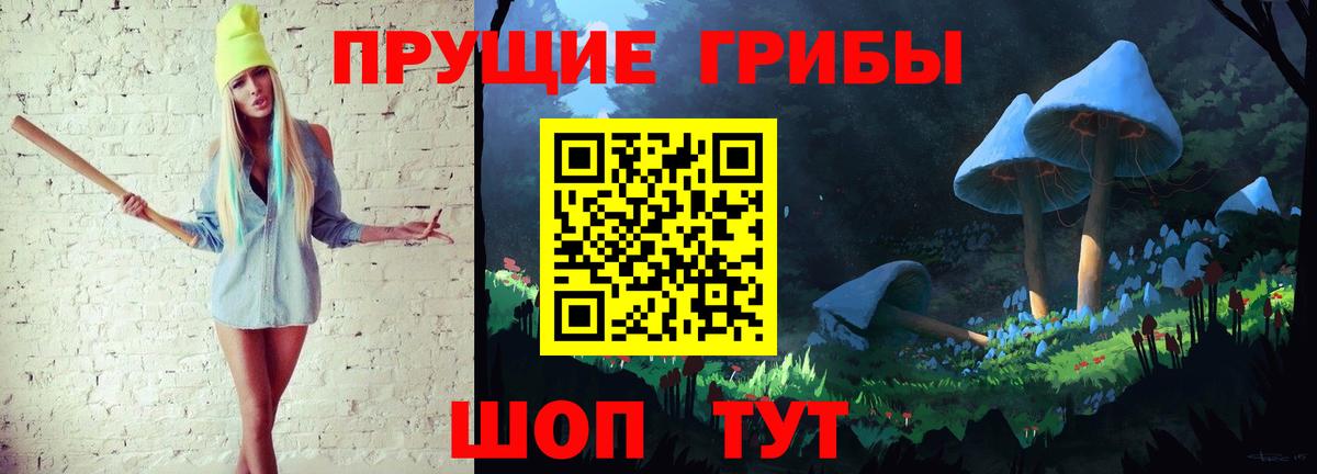 Галлюциногенные грибы Psilocybe Новошахтинск
