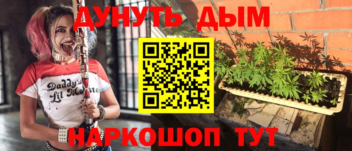 Конопля планчик  МАРИХУАНА White Widow  Канабис SATIVA & INDICA  МАРИХУАНА OG Kush  Новошахтинск  Вход с VPN 